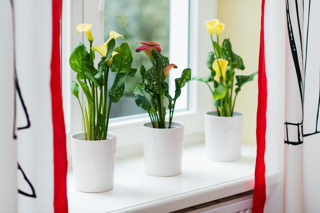 Style4rent Sunny Old Town Appartement *